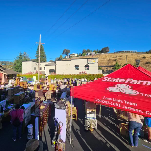 Images Anne Lintz - State Farm Insurance Agent