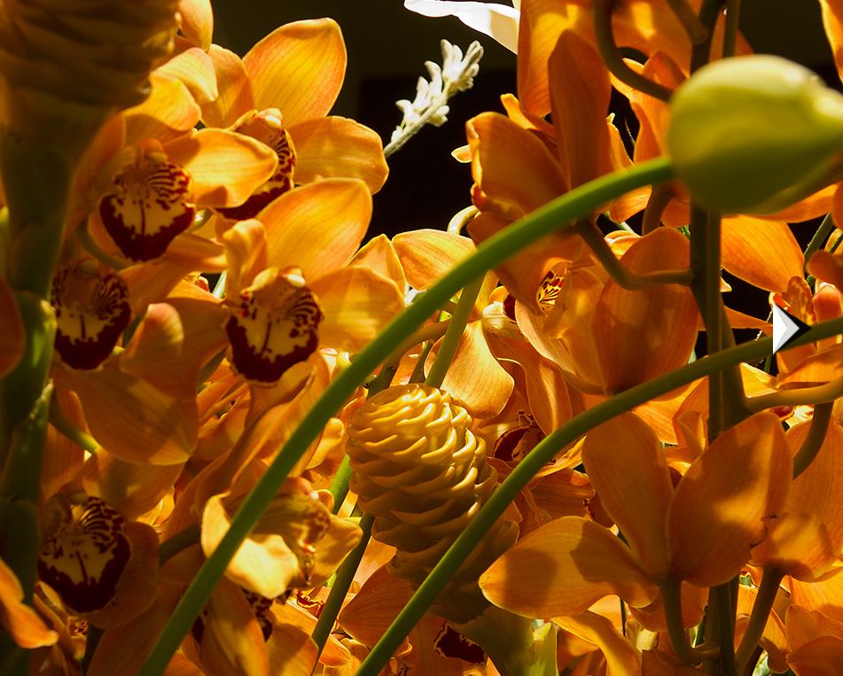 Grossenbacher Martin Blumen, Dufourstrasse 85 in Zürich