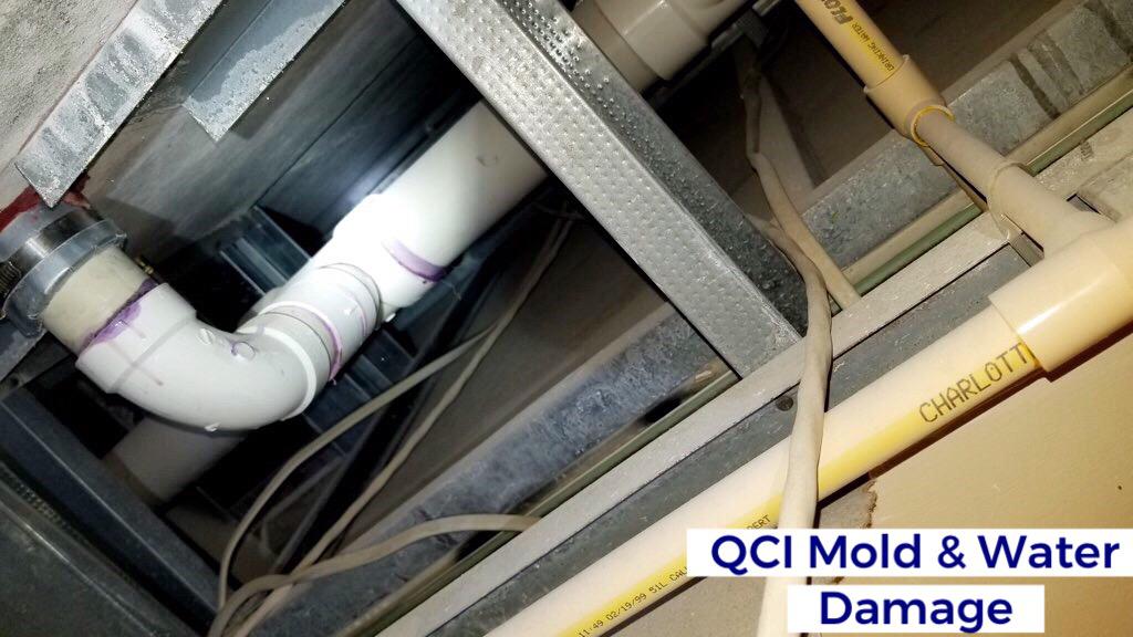 Image 22 | QCI Mold and Water Damage