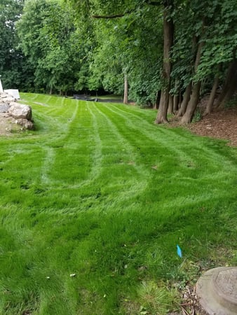 Images Dubons Landscaping LLC