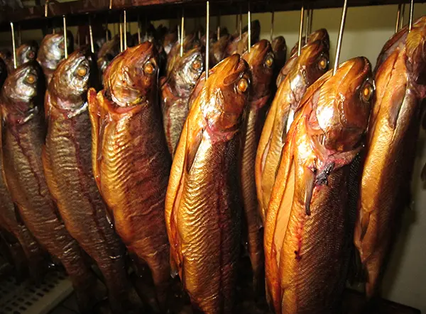 Bild 5 von Forellenzucht Igler - Ulrich Bültermann