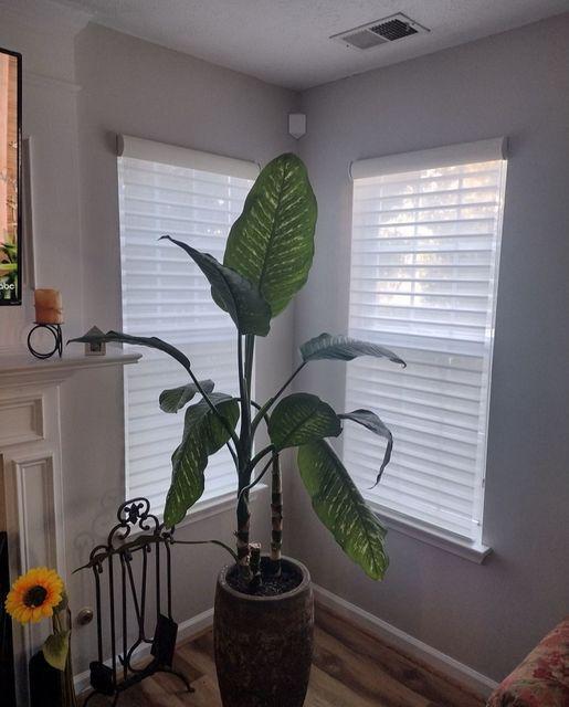 Are you a houseplant parent? If so, then you need the right blend of sun and shade! Our Sheer Shades will do the trick—and the proof is in this lovely Kennesaw home!  #BudgetBlindsKennesawAcworth #SheerShades #KennesawGA #FreeConsultation #WindowWednesday