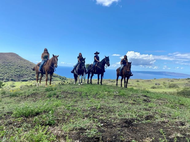 Images Triple L Ranch Maui Horseback Tours