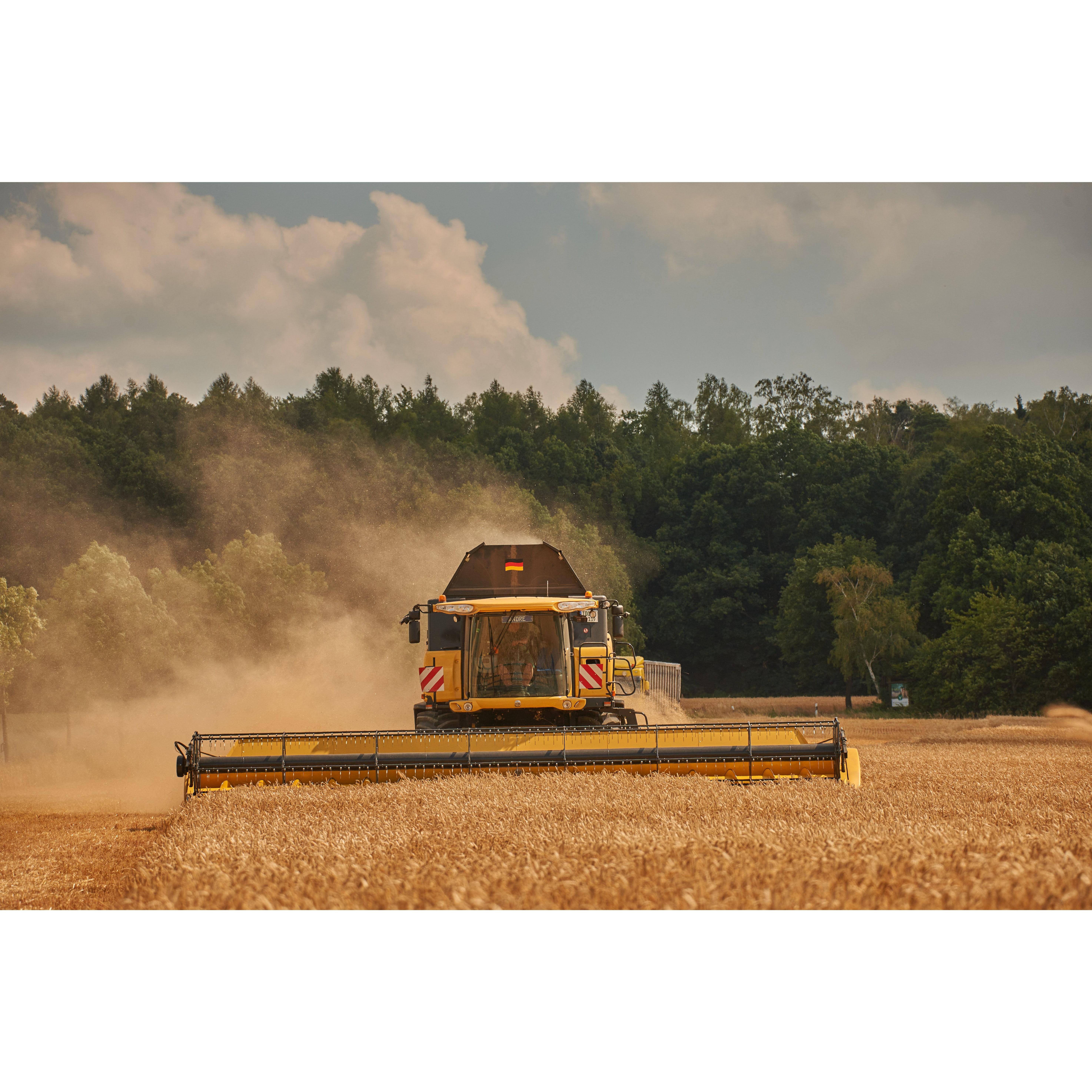 Getreidelager am Collm & Landwirtschaftliche Dienstleistungen GmbH & Co.KG Wermsdorf 034361 51688