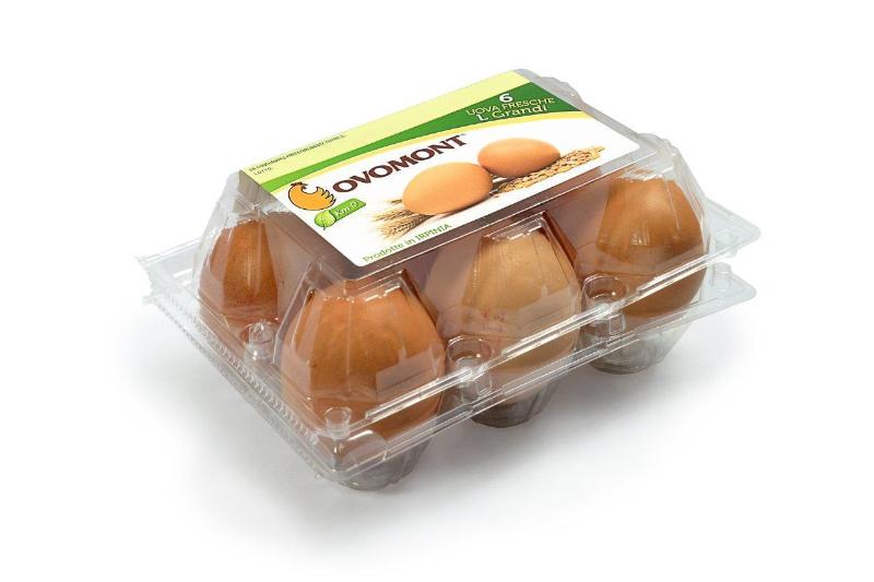 Images Ovomont - Produttori di uova