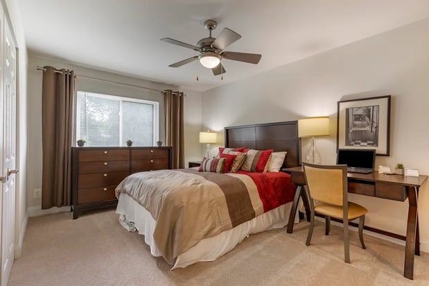 Images The Apartments at The Sycamores