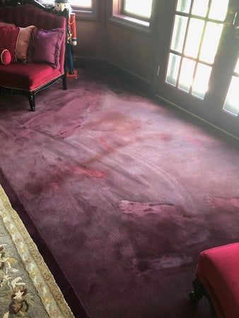 Images Carpet Pro Carpet Cleaning & Dyeing