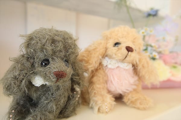 Images わんわんスタイルANNE