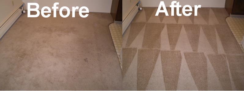 Images Johnson's Carpet Cleaning