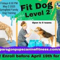 Images Paragon Pups LLC