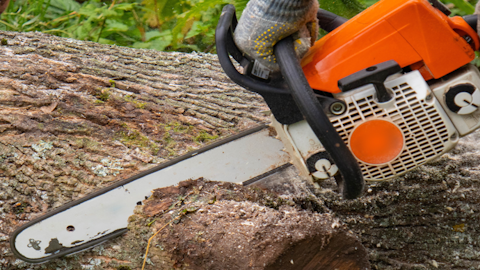 Chain Saws
