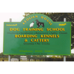 company logo