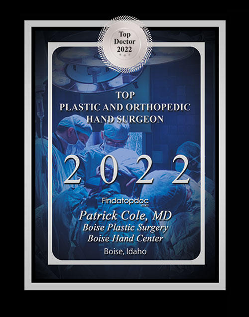 Top Plastic and Orthopedic Hand Surgeon 2022