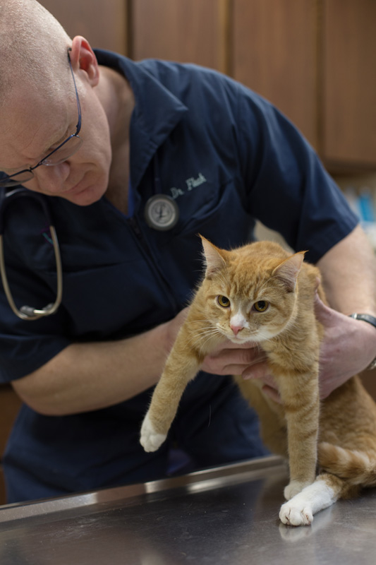 At White Oak Veterinary Clinic, we strive to provide the best possible medical care for every patien White Oak Veterinary Clinic White Oak (412)678-4042