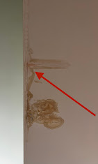 Faithful plumbing Image