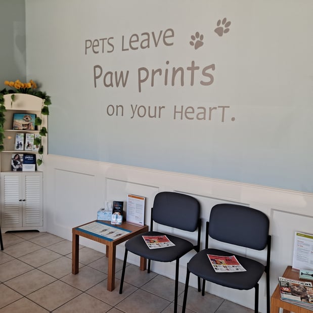 Images Vetco Total Care - SouthPaw Animal Clinic