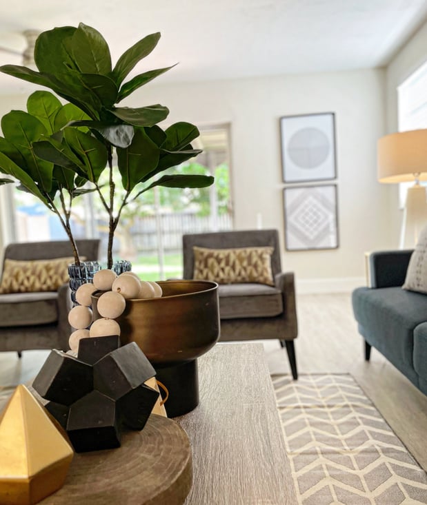 Images Lisa Aportela Asenjo, Interior Design