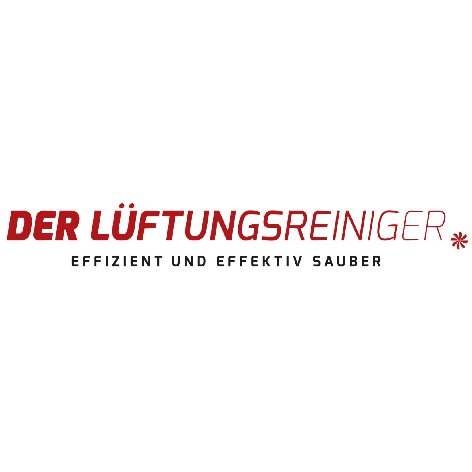 Der Lüftungsreiniger Schweiz GmbH Logo