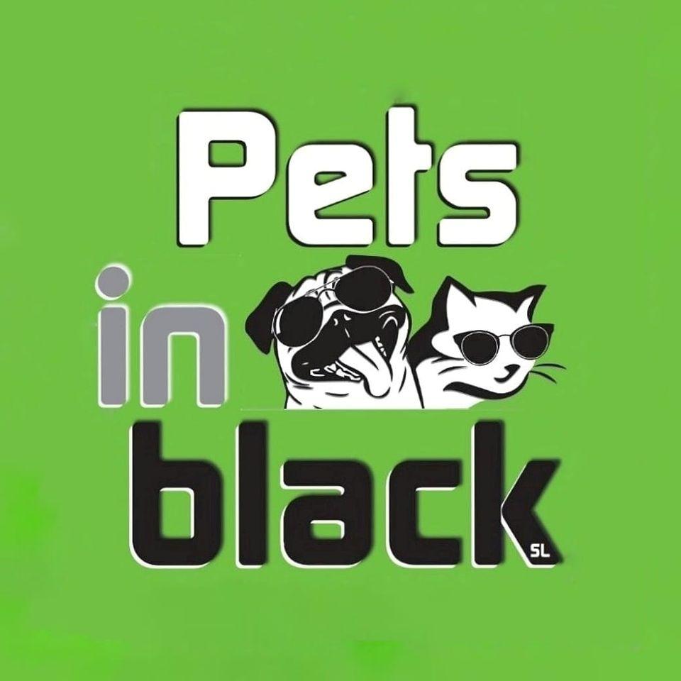 Pets In Black Adeje