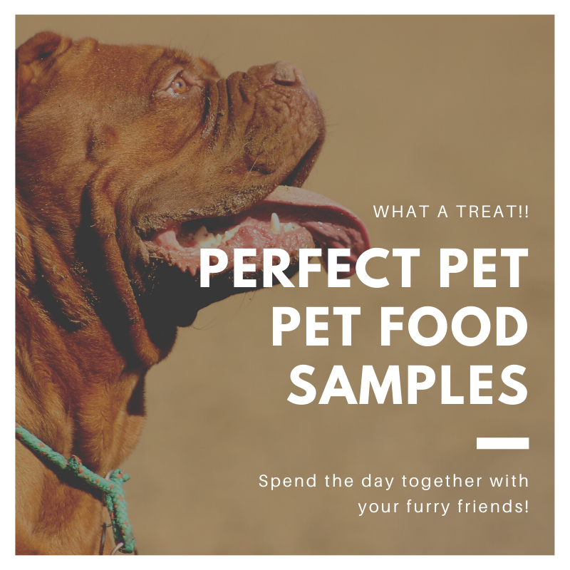 Perfect Pet Pet Food Demo, FREE SAMPLES Bark Ave Pet Supplies