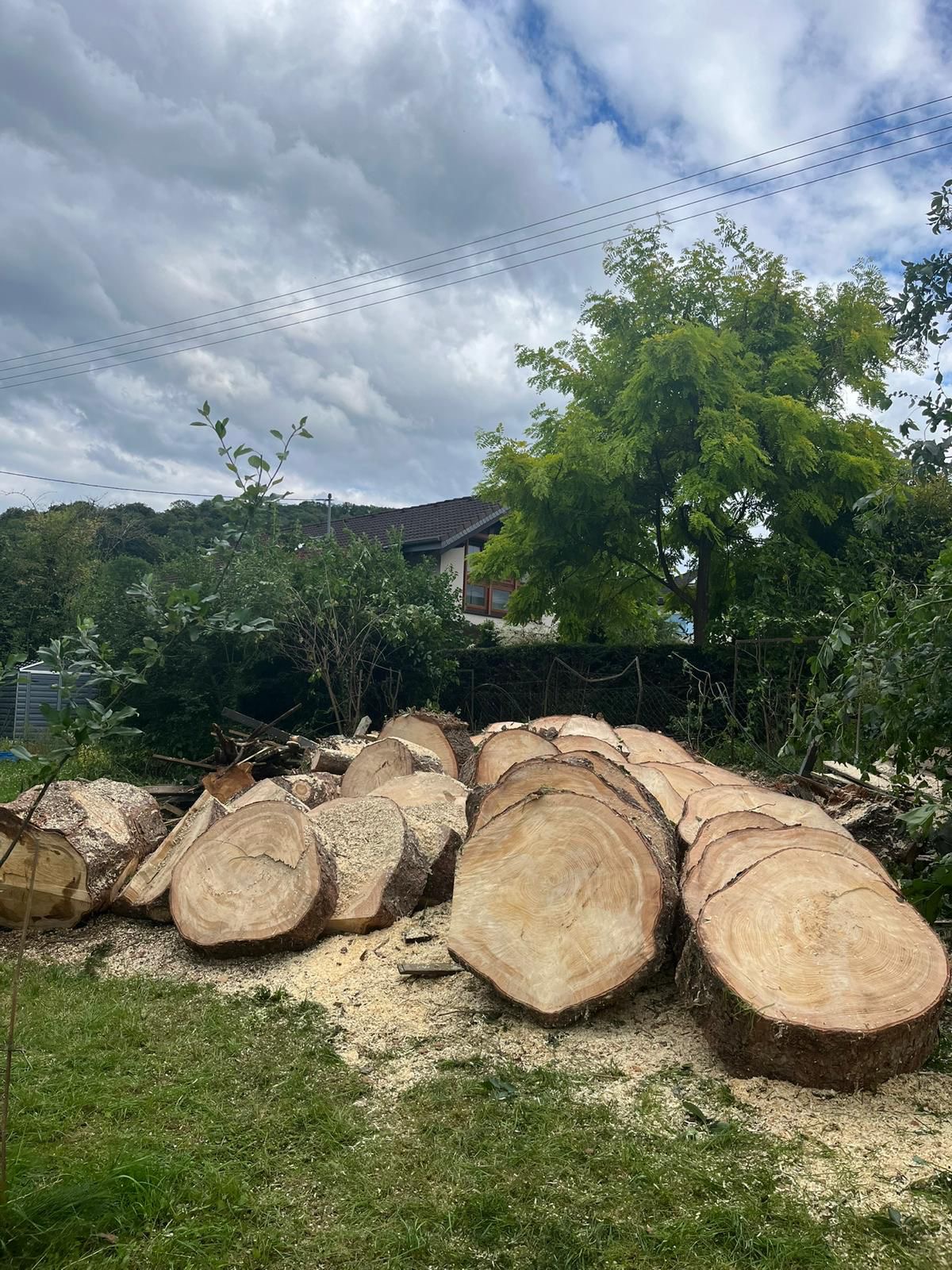 Baum- & Gartenpflege Loose in Melsbach