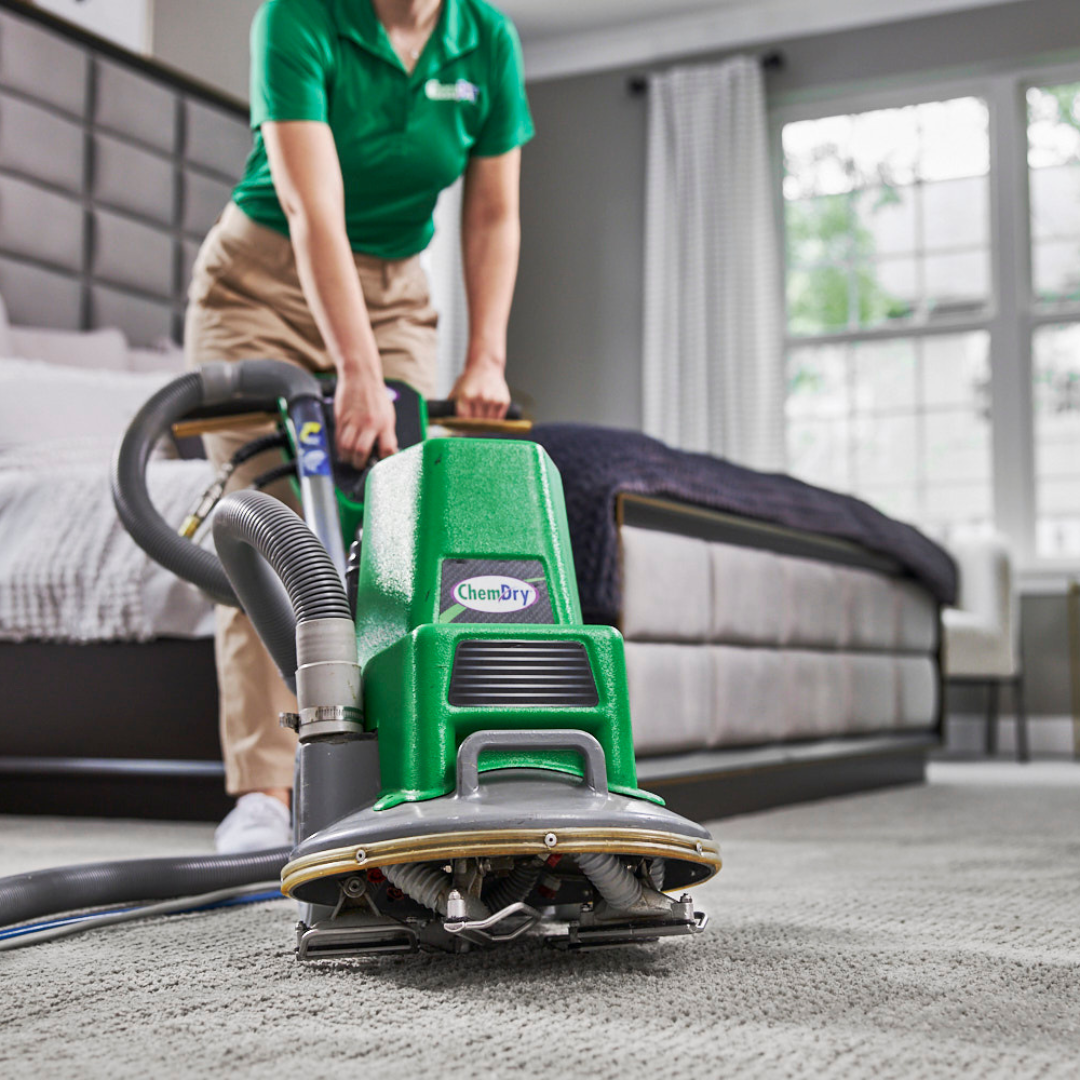 carpet cleaning in annapolis md