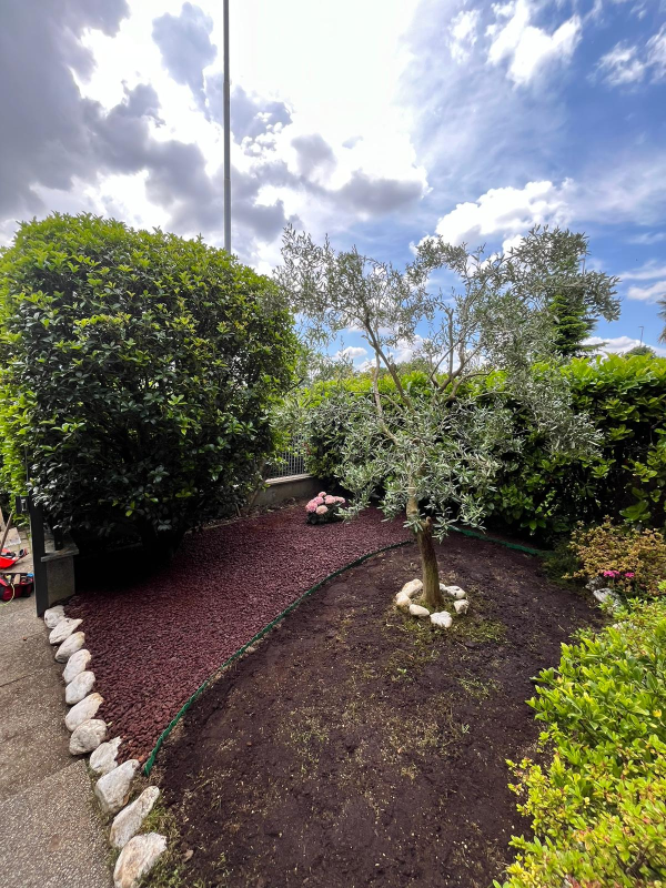 Images Il Giardiniere di Siviglia