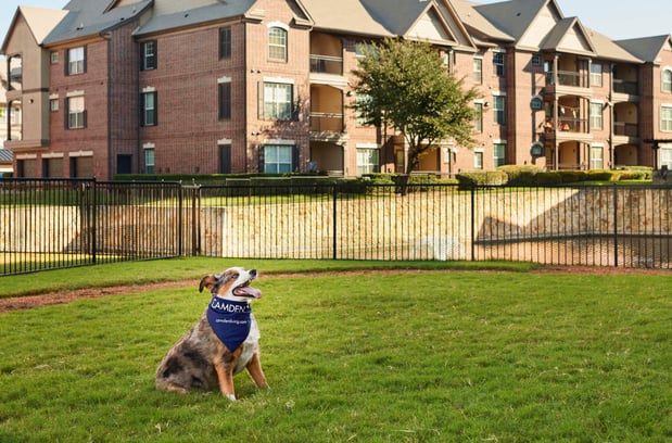 Images Camden Panther Creek Apartments