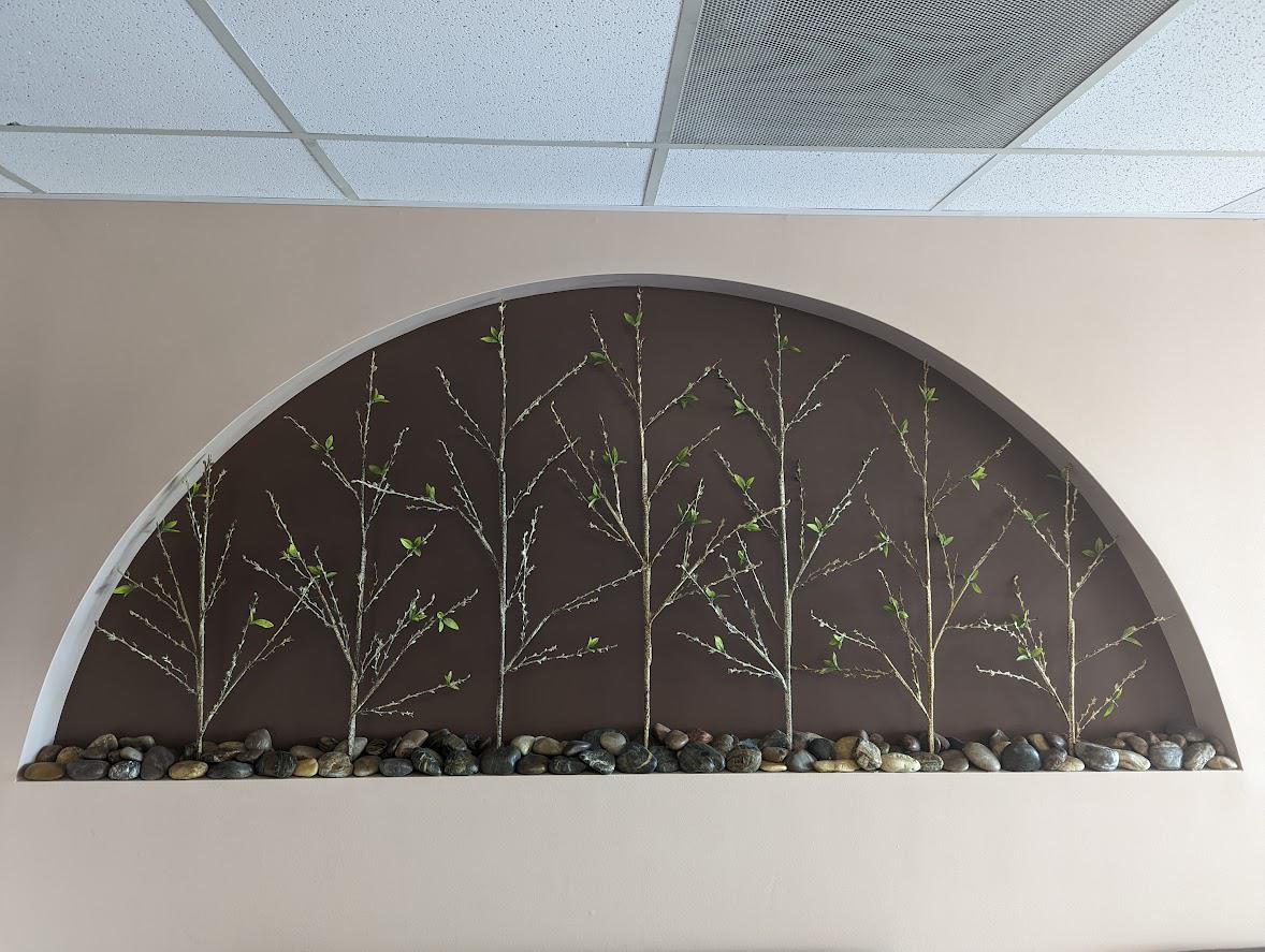 Interior of Balboa Dental Care | San Diego, CA