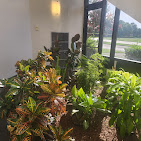 Images Paula's Massage Magic