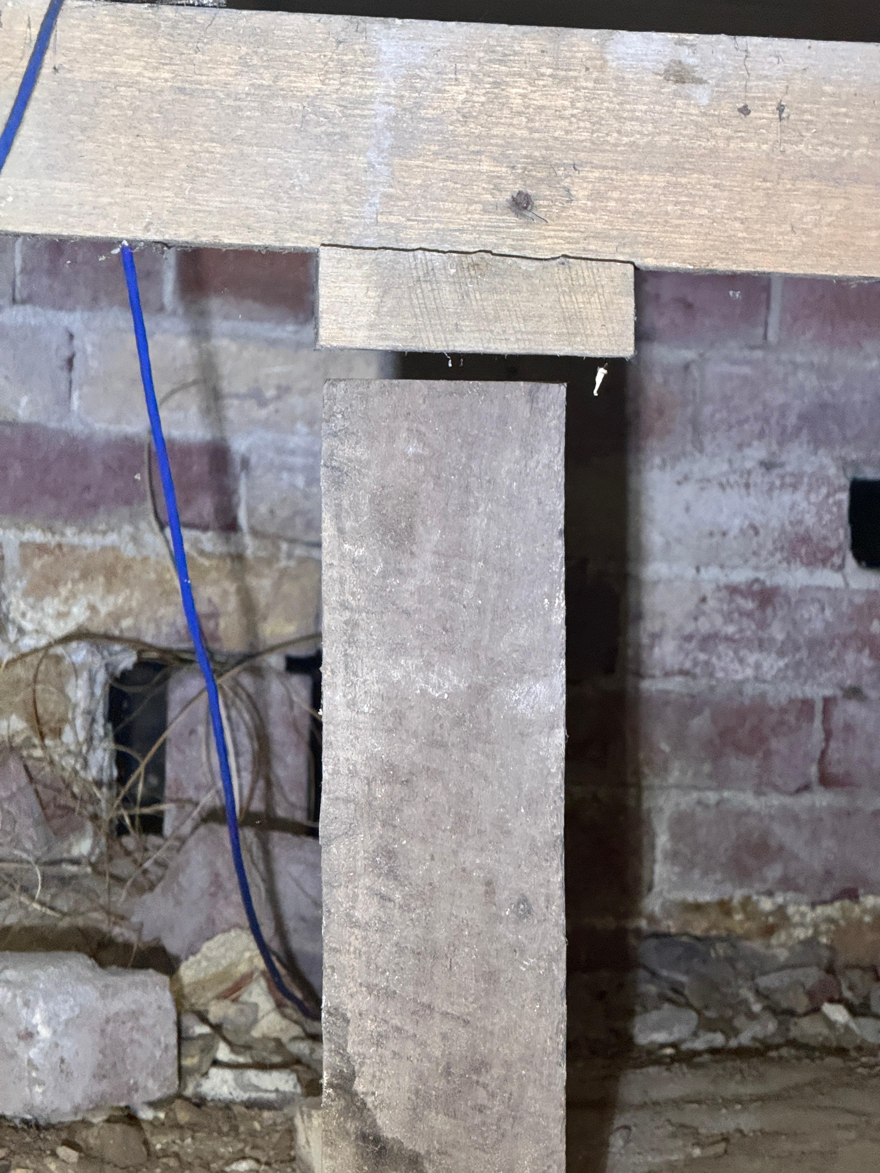 Images ACE Building and Pest Inspection