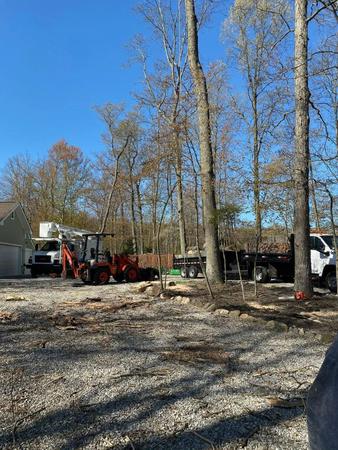 Images Maxon's Tree Service