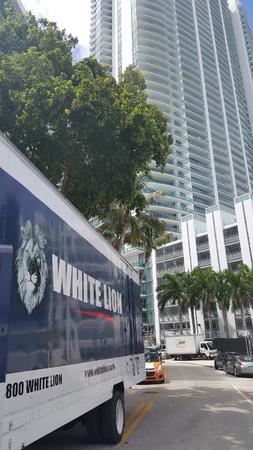 Images White Lion Moving & Storage