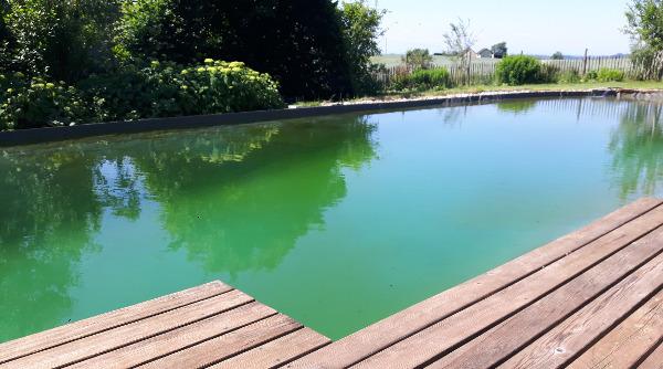 KLUG IM GARTEN - DI Helmut Klug Gartengestaltung & Schwimmteichbau, Doppl 6 in Schwertberg