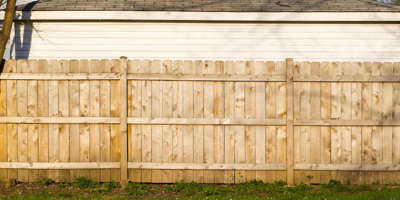 KEEP YOUR FENCES PRISTINE WITH SOFTWASHING.