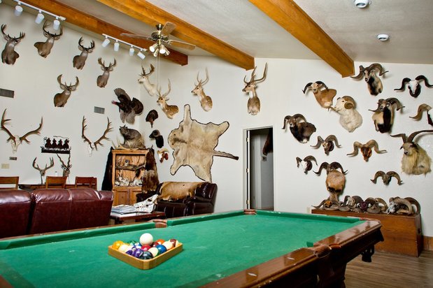 Images 4 Amigos Ranch