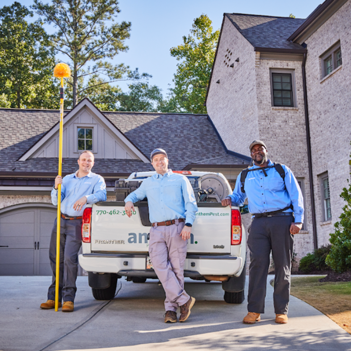 Images Anthem Pest Control