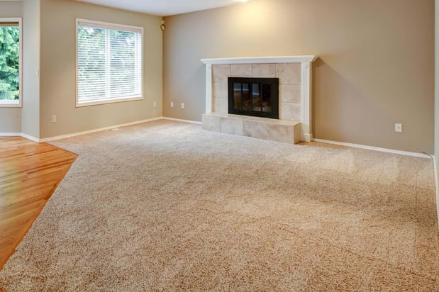 Images SaulClean - Carpet & Rug Dyeing