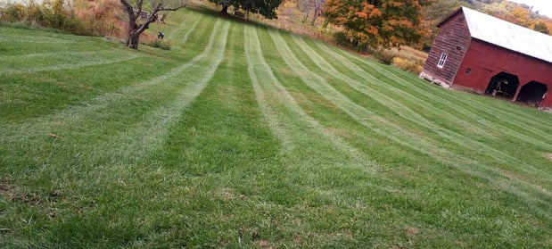 Images MATTHEW LANDSCAPING