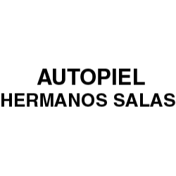 Autopiel Hermanos Salas Logo