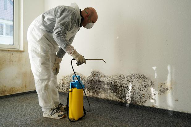 Images Mold Remediation and Water Restoration Pros