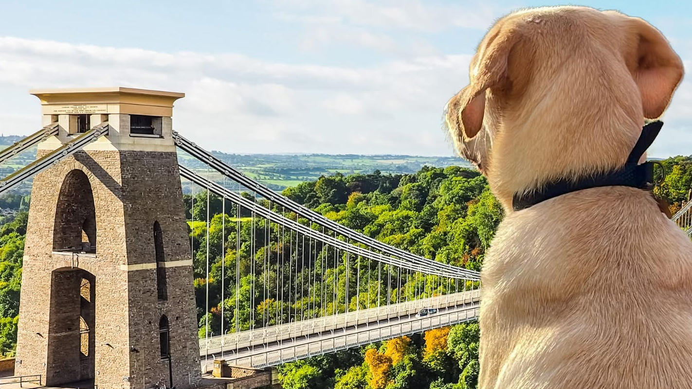 Images The Bristol Bark Co.