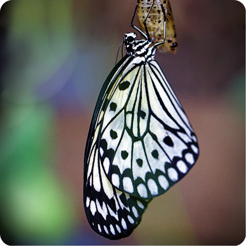 Bilder lebensfreudig.ch