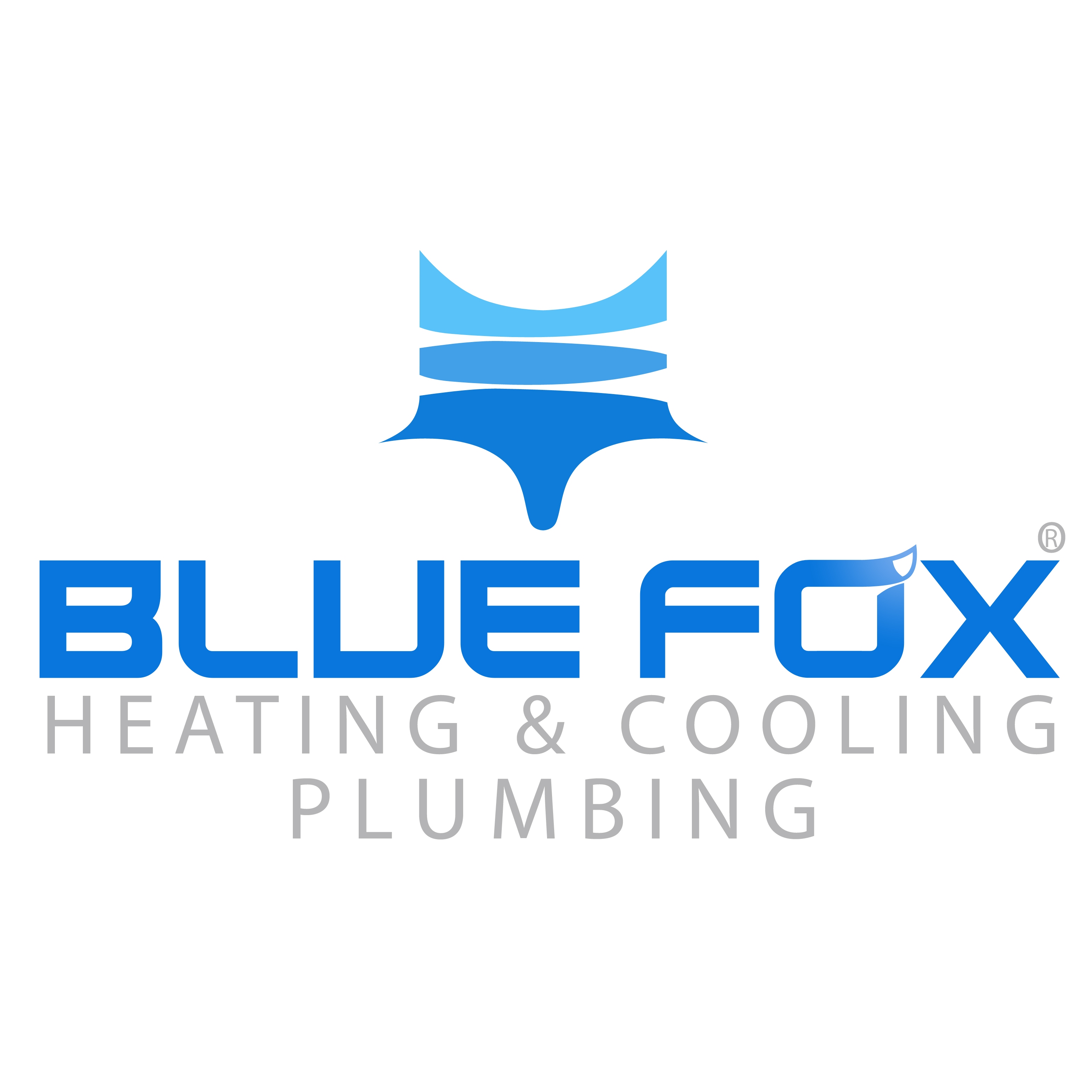 Blue Fox HVAC & Plumbing LLC
