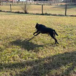 Sniffspot Yolistone Image