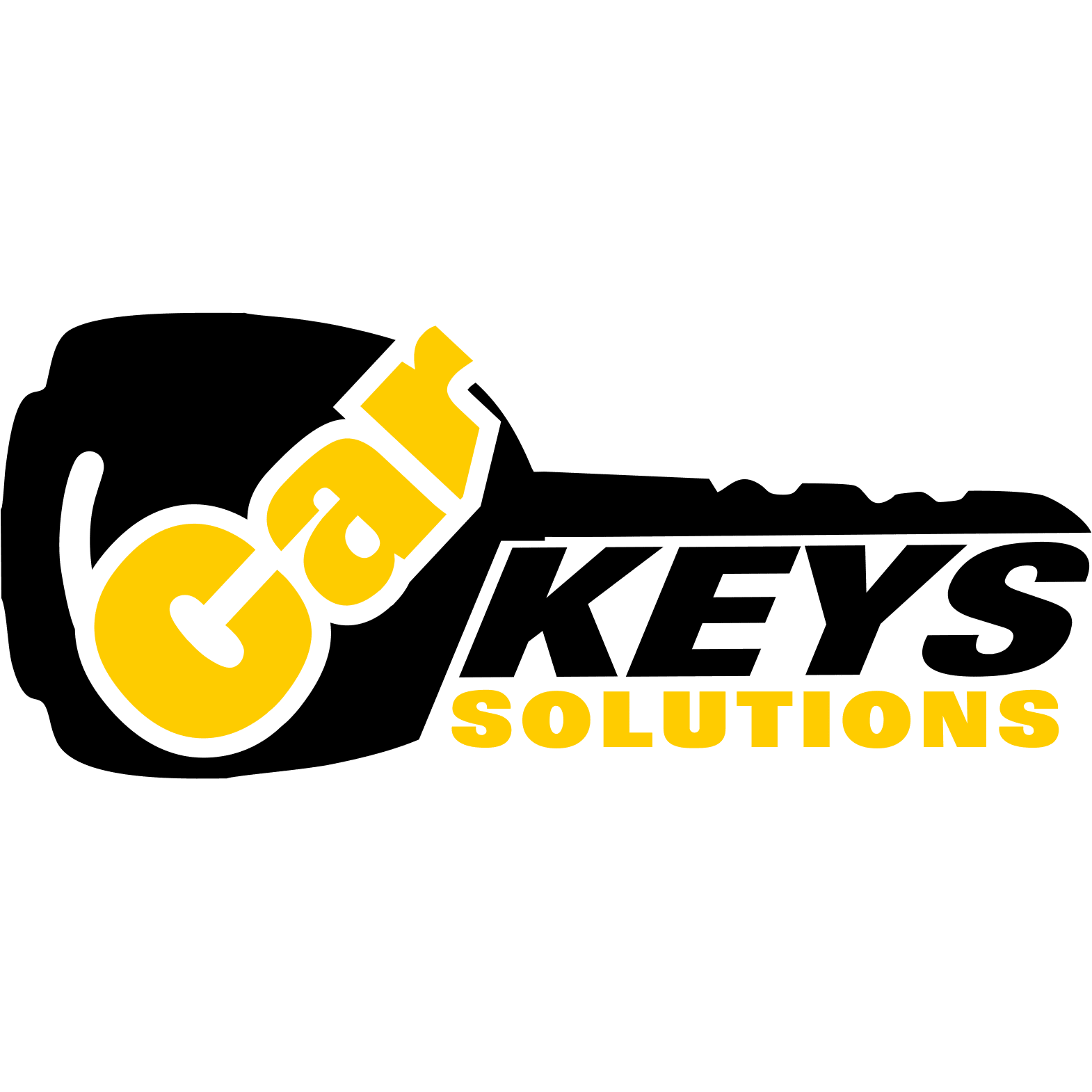 Solutions keys. Ключи solutions. Carkeys Казань.