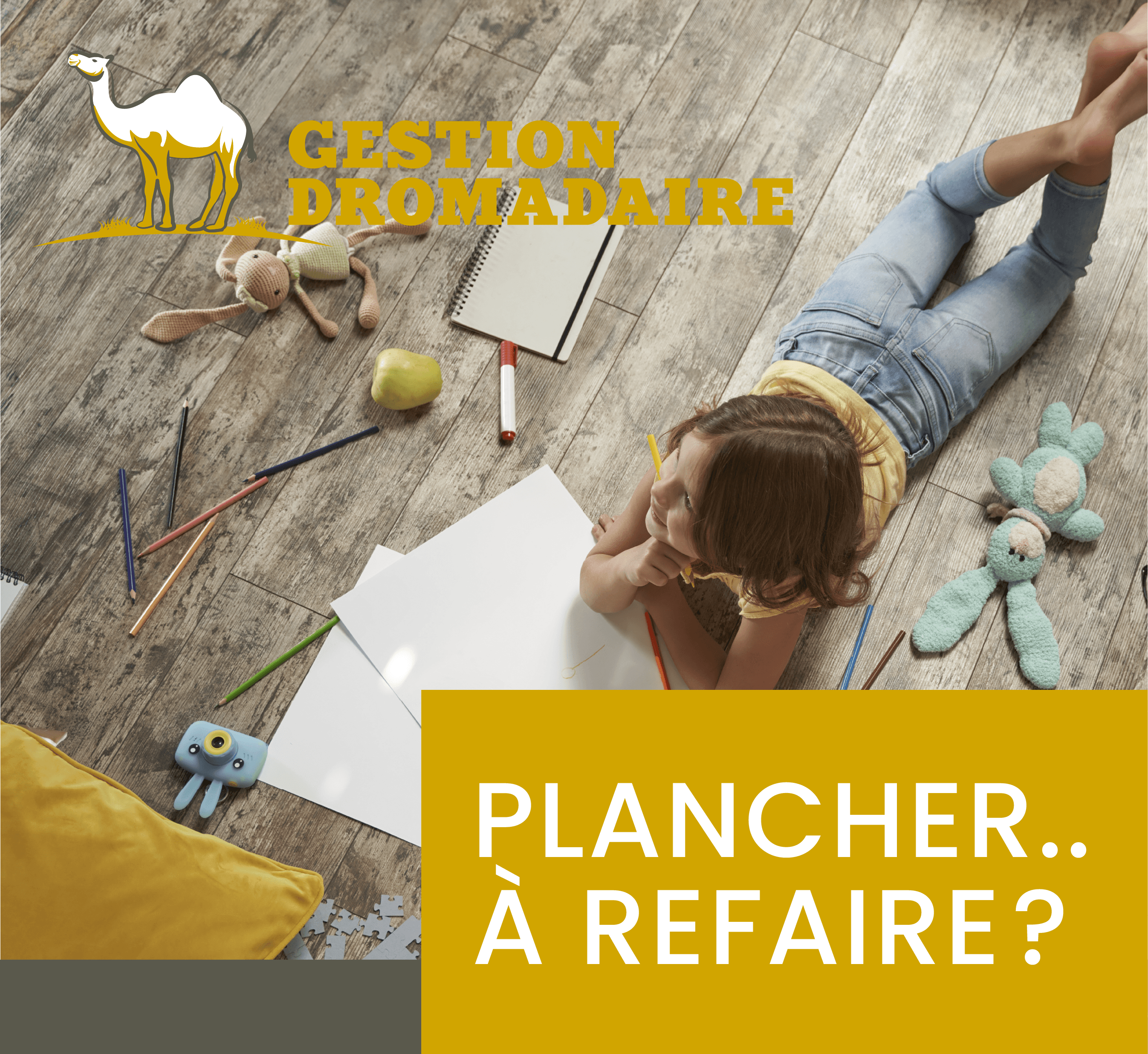 Images Gestion Dromadaire Inc