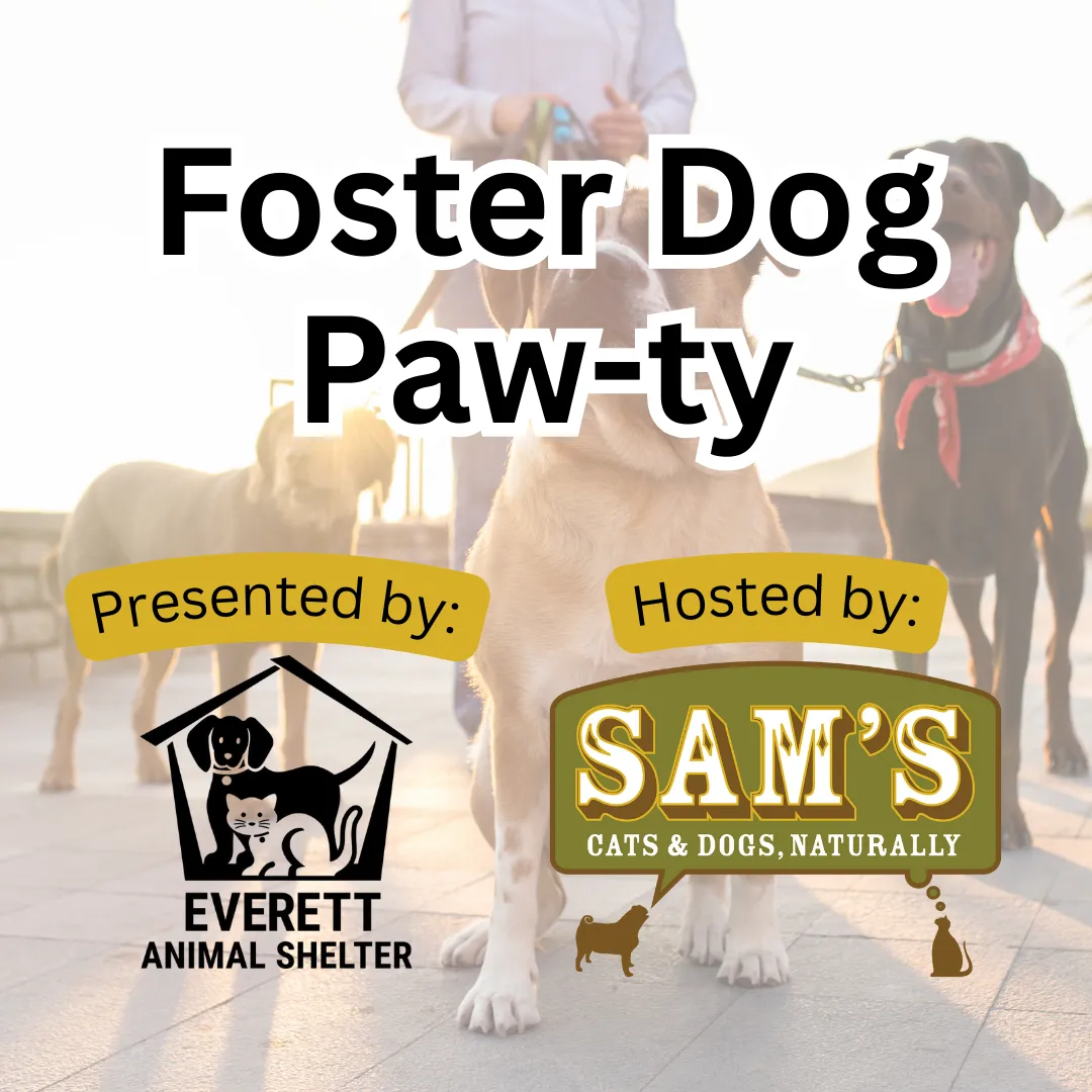 Image of Local Pet Event Saturday Foster Paw-ty Nearby