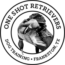 One Shot Retrievers