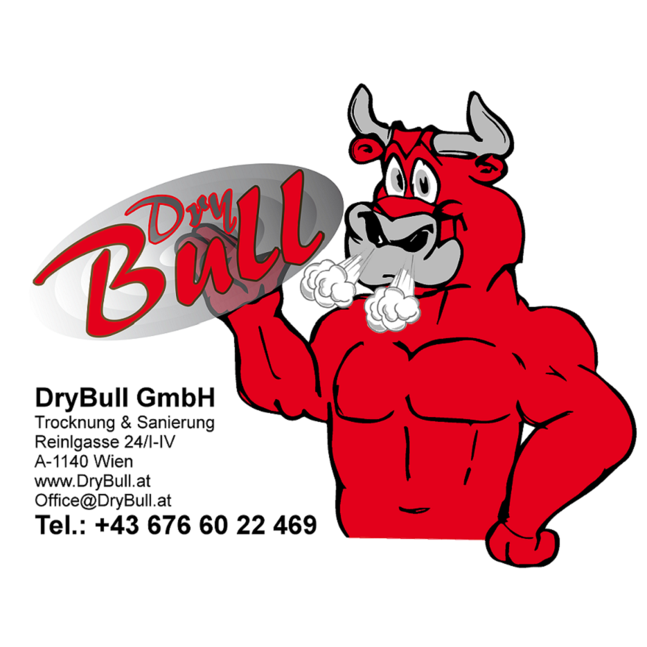 DryBull GmbH Logo